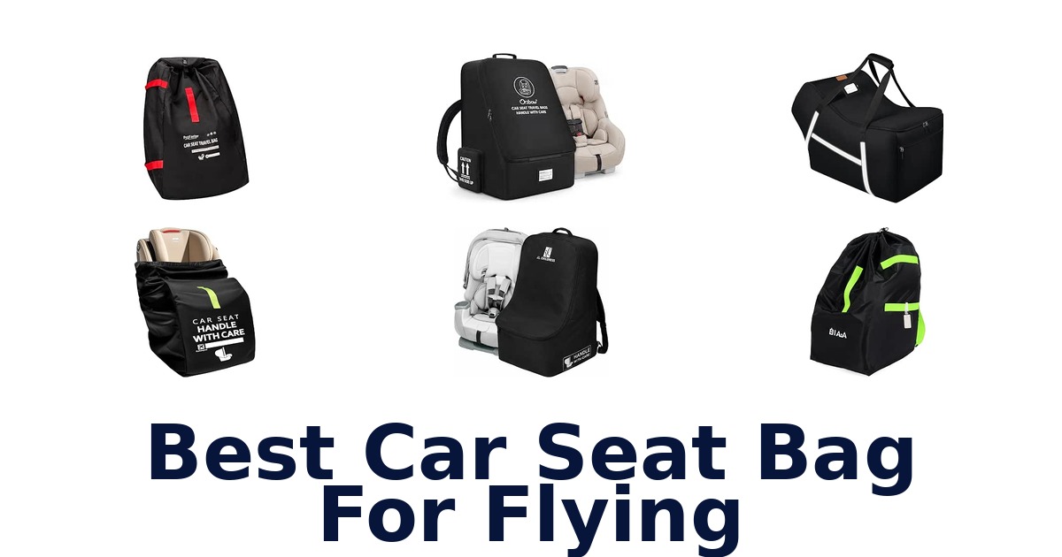 Best Car Seat Bag For Flying