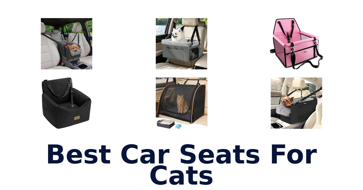 Best Car Seats For Cats