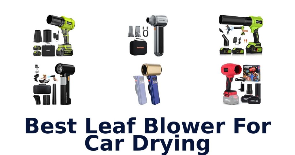 Best Leaf Blower For Car Drying
