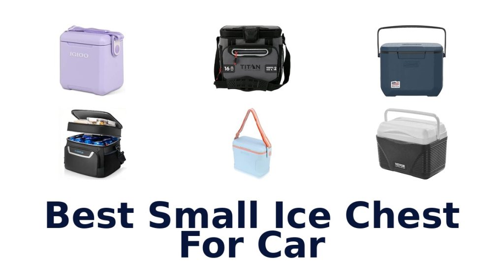 Best Small Ice Chest For Car